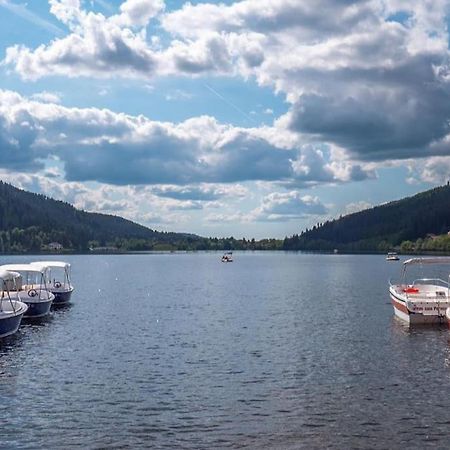 Studio Cosy Ambiance Vosgienne A 20 Mn De Gerardmer Lepanges-sur-Vologne 外观 照片