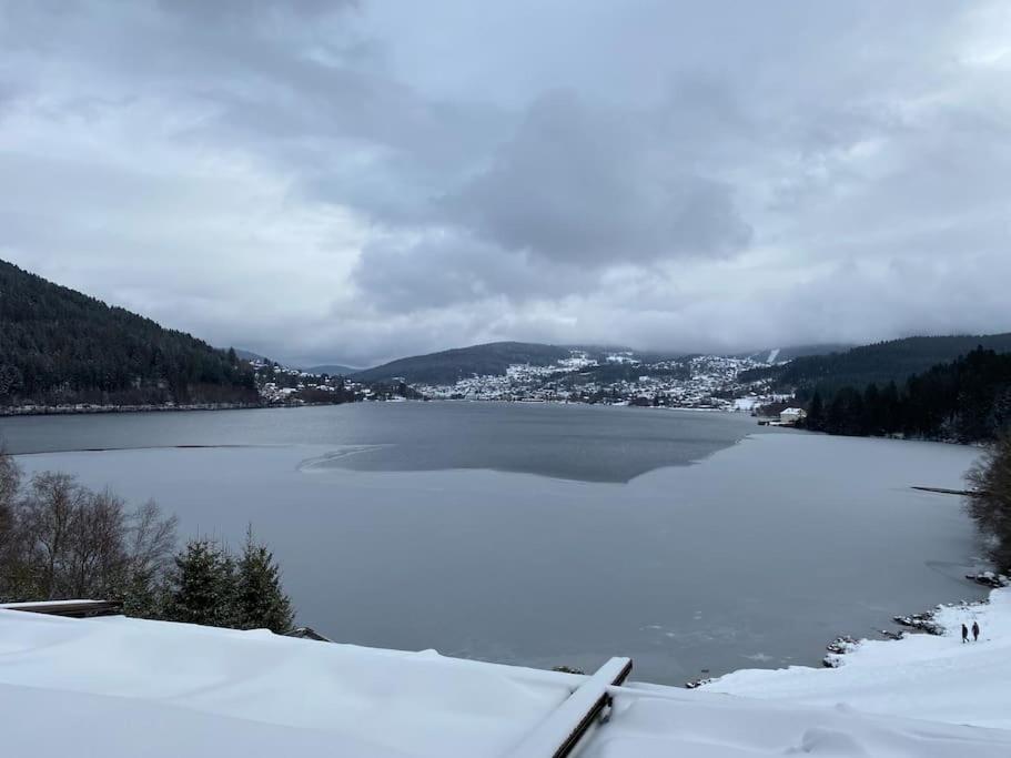 Studio Cosy Ambiance Vosgienne A 20 Mn De Gerardmer Lepanges-sur-Vologne 外观 照片