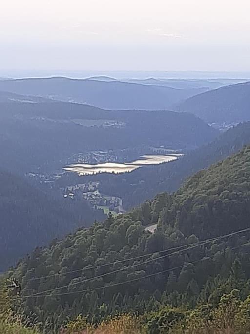 Studio Cosy Ambiance Vosgienne A 20 Mn De Gerardmer Lepanges-sur-Vologne 外观 照片