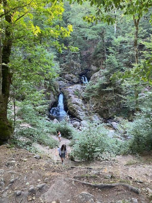 Studio Cosy Ambiance Vosgienne A 20 Mn De Gerardmer Lepanges-sur-Vologne 外观 照片