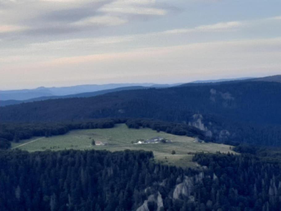 Studio Cosy Ambiance Vosgienne A 20 Mn De Gerardmer Lepanges-sur-Vologne 外观 照片