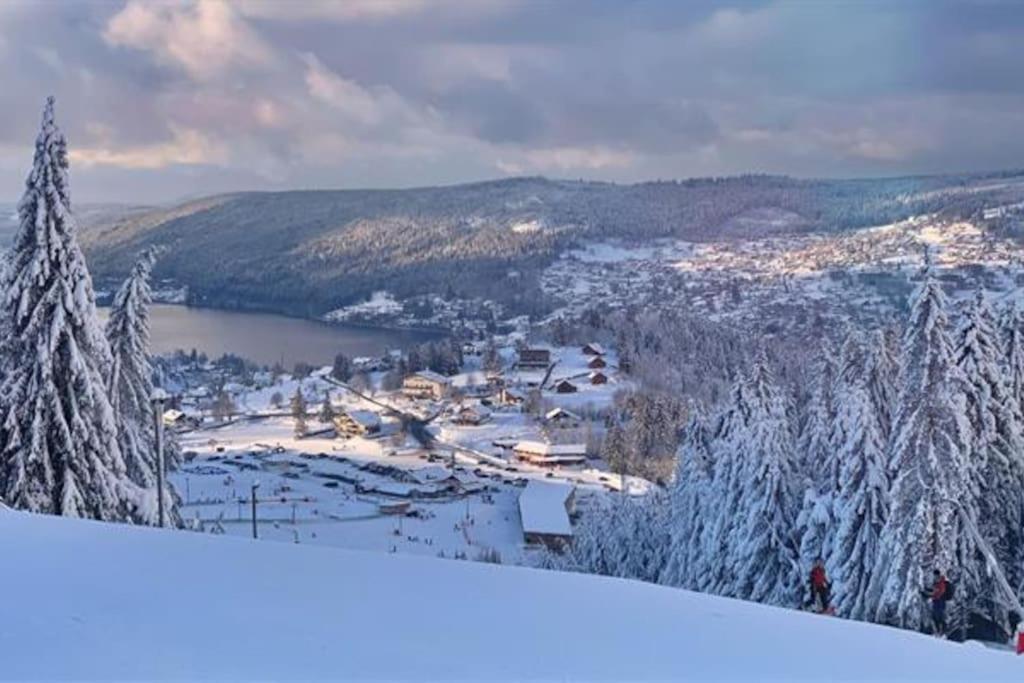 Studio Cosy Ambiance Vosgienne A 20 Mn De Gerardmer Lepanges-sur-Vologne 外观 照片